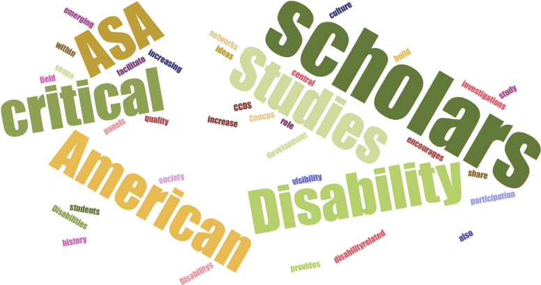The Critical Disability Studies Caucus Encourages The - American Solar Direct (960x600), Png Download