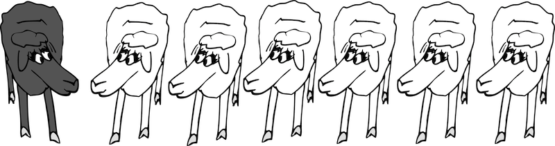 Sheep Clipart Border - Sheep (800x211), Png Download