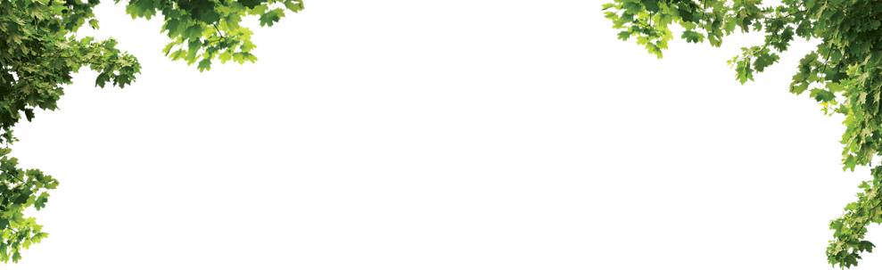 303, Wattpad, Projects To Try, Moldings - Parque Biológico Da Serra Da Lousã (989x303), Png Download