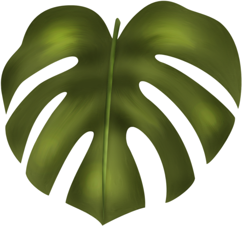 Lp Junglerumble Ell1 - Folhas De Arvore Safari Png (500x467), Png Download