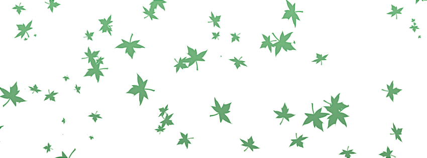 Clique Na Imagem Para Ver O Tamanho Real Ou Salvar - Folhas Secas Voando Png (850x315), Png Download