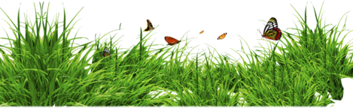 Png Format Grass Png Hd (1143x352), Png Download
