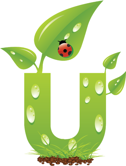 Blindada Por Deus - Ladybird Beetle (640x640), Png Download