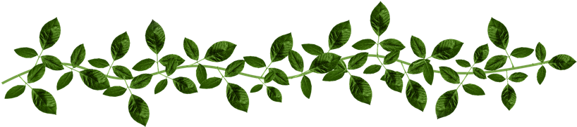 Brilho E Gifs Floral Png - Ramos De Folhas Png (837x191), Png Download