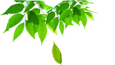 Bem-vindo Ao Criativa Produtiva - Mdg Group Md Group Air Purifier Sterilizer Deodorizer (621x345), Png Download