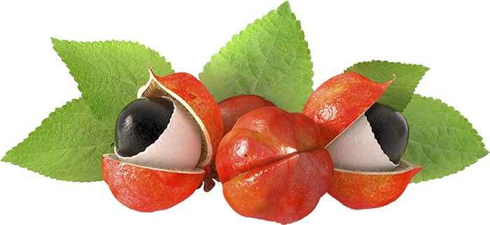 Guarana - Guarana Extract (700x322), Png Download