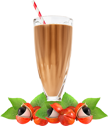 Guarana And Your Mixtures - Suco Guarana Do Amazonas (378x446), Png Download