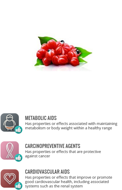 Antioxidants - Guarana Berries (420x651), Png Download