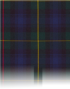 Pla#back Gradiant Larger4 - Tartan (288x477), Png Download