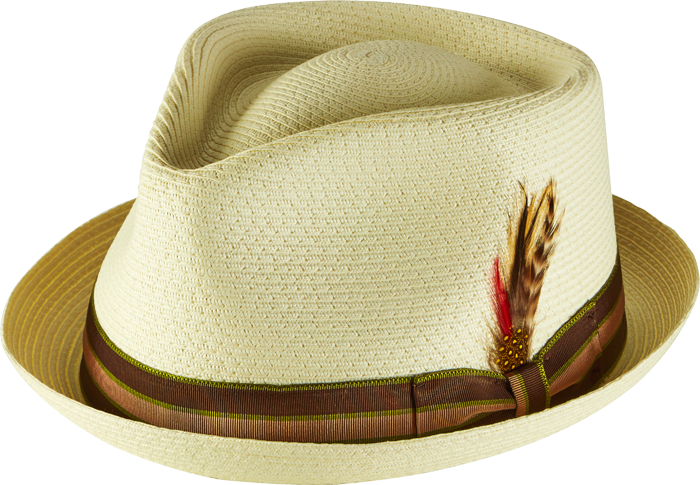 Stingy T-drop - Fedora (700x485), Png Download