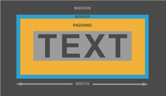 Divi Determines Box Sizing With The Border-box Css - Length (880x440 ...