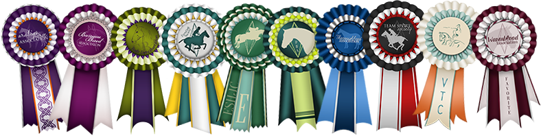 Picture - Sims 3 Horse Ribbon (788x198), Png Download