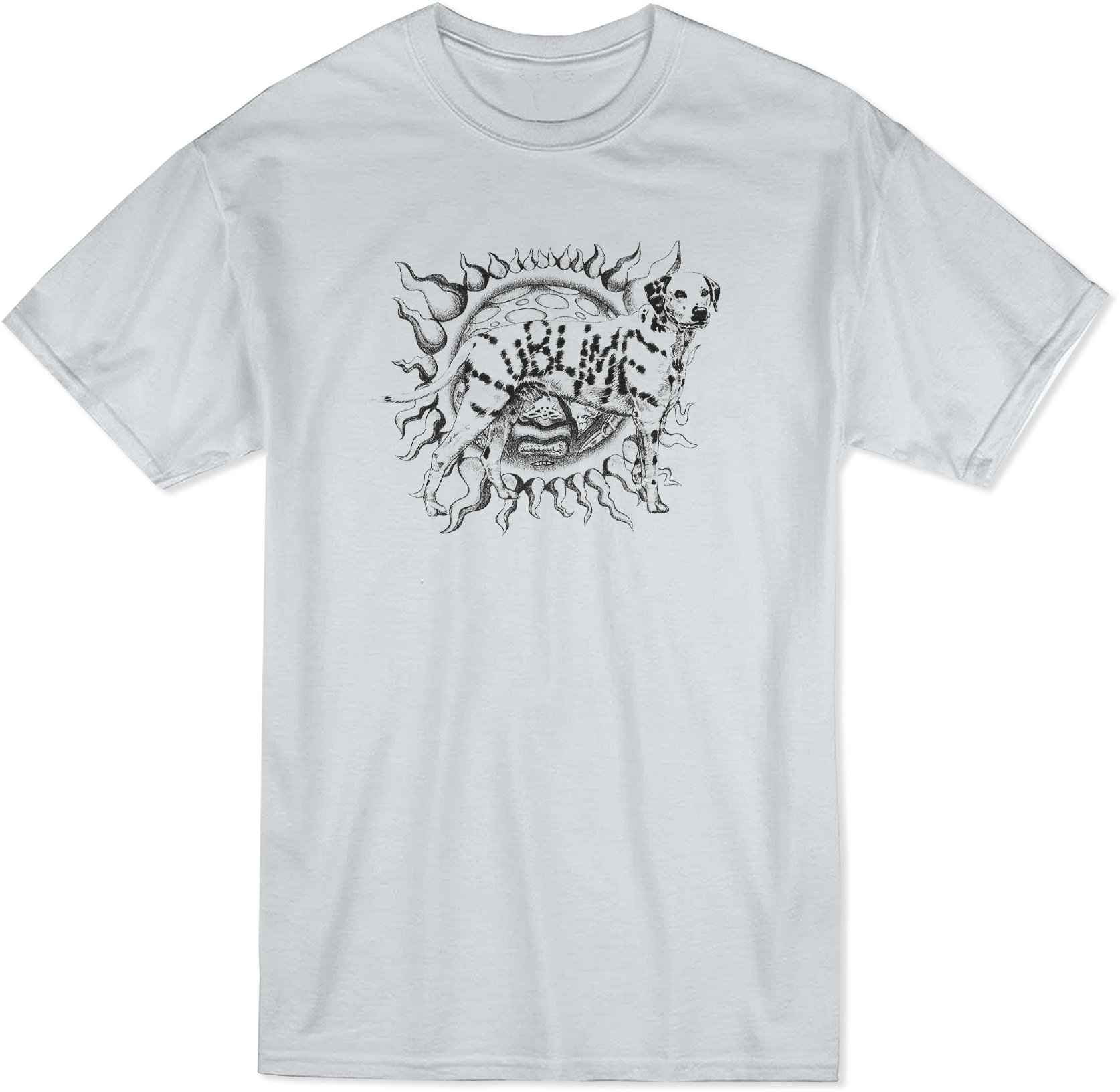 Sublime - Sublime Live In Concert Original 18" X 24" Sketch Print (1696x1792), Png Download