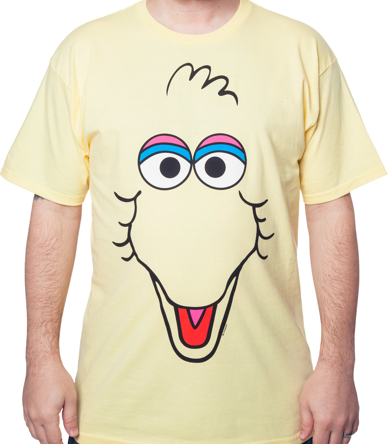 Big Bird Face T-shirt - Big Bird T Shirt (1309x1500), Png Download