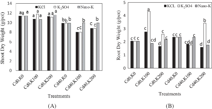 Effect Of K Forms And Levels (0, 100 And 200 Mg K Kg - Musical Keyboard (703x362), Png Download