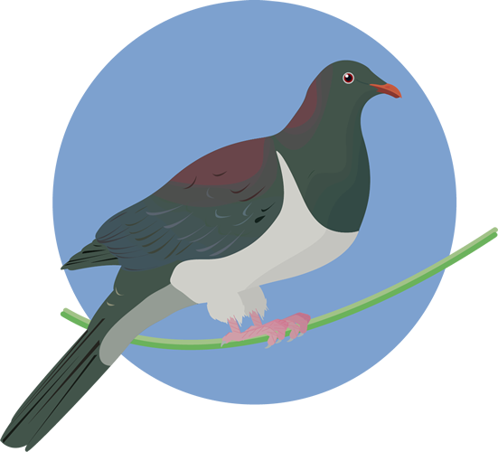 How To Identify Birds - Finches (551x500), Png Download