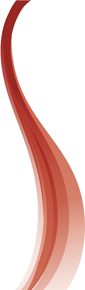 Beers - Wood (297x958), Png Download