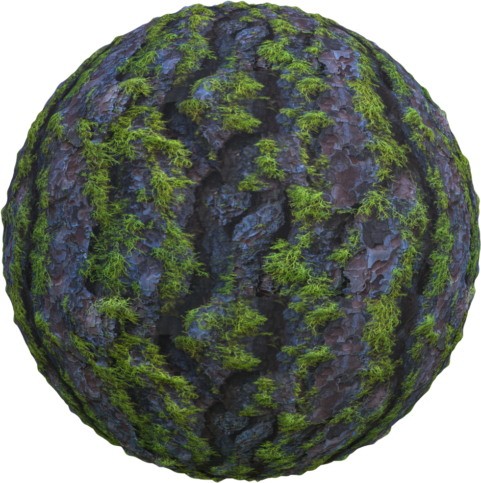 Seamless Mossy Tree Bark Texture - Circle (1024x1024), Png Download