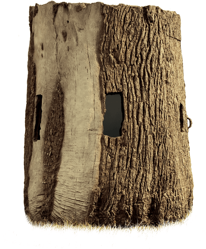 Hero - Nature Blinds Hero Tree Blind (704x832), Png Download