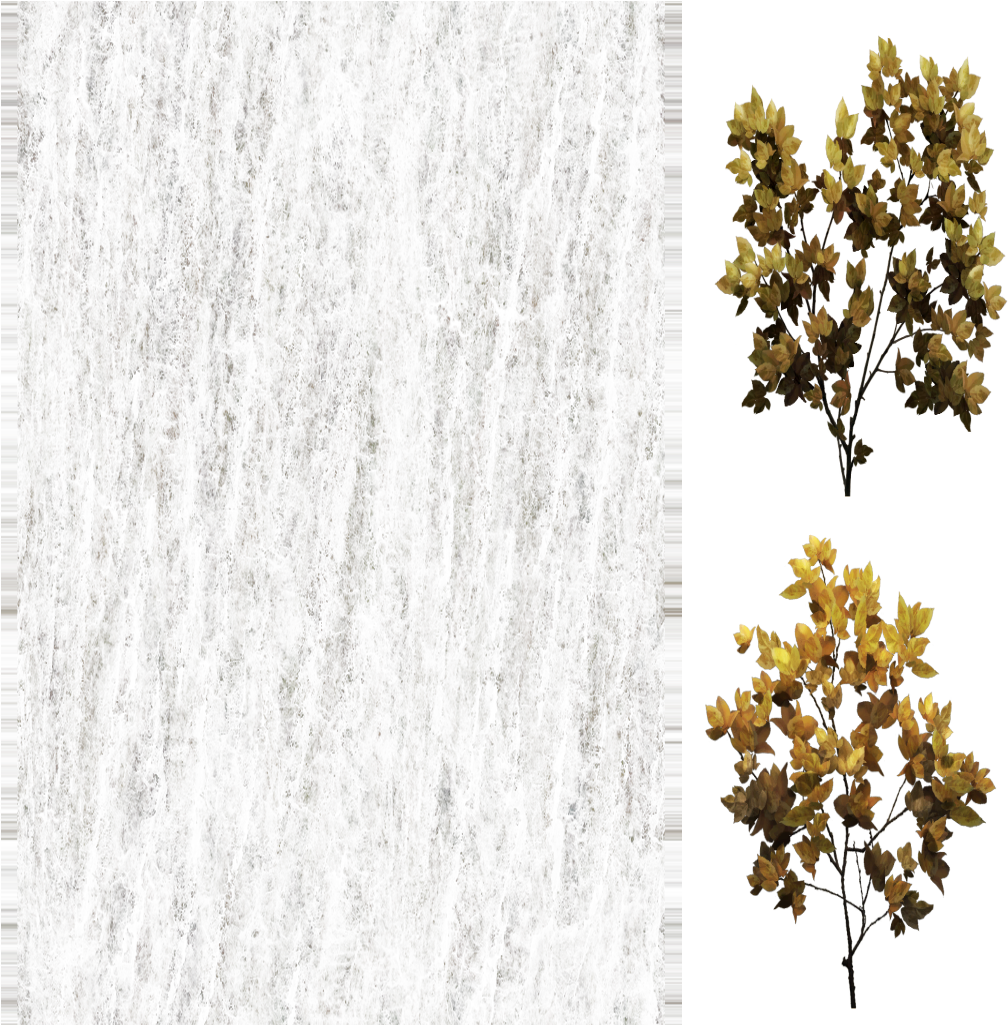 Http - //forum - Mymmo - Cz/diffuse - Mossy Cup Oak (1024x1024), Png Download