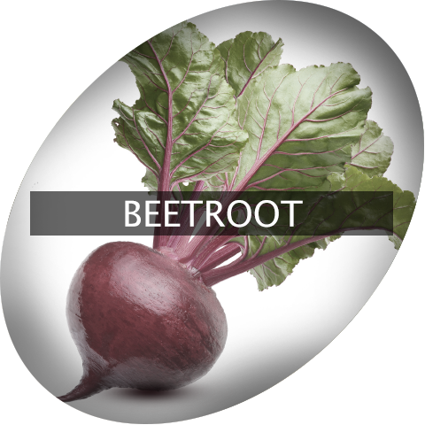 Landingimage Igrow Beetroot - Imagens De Uma Beterraba (480x480), Png Download
