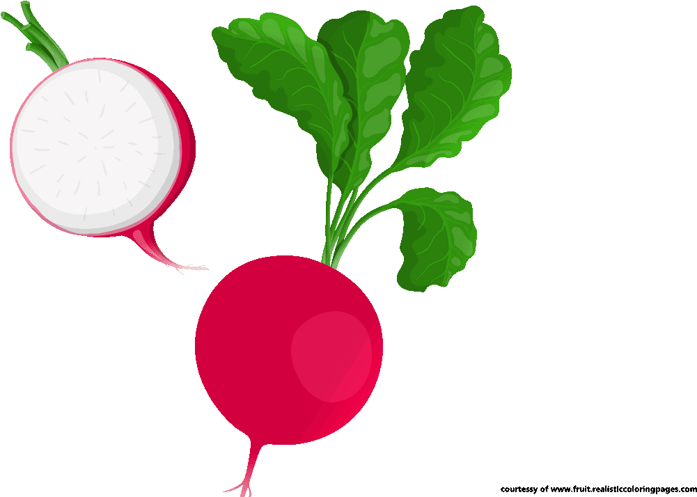 Radish Clipart Beetroot - Radish Clipart Png (1280x720), Png Download