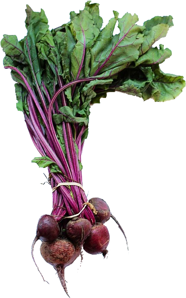 2 Bunches Beets - Common Beet (604x604), Png Download