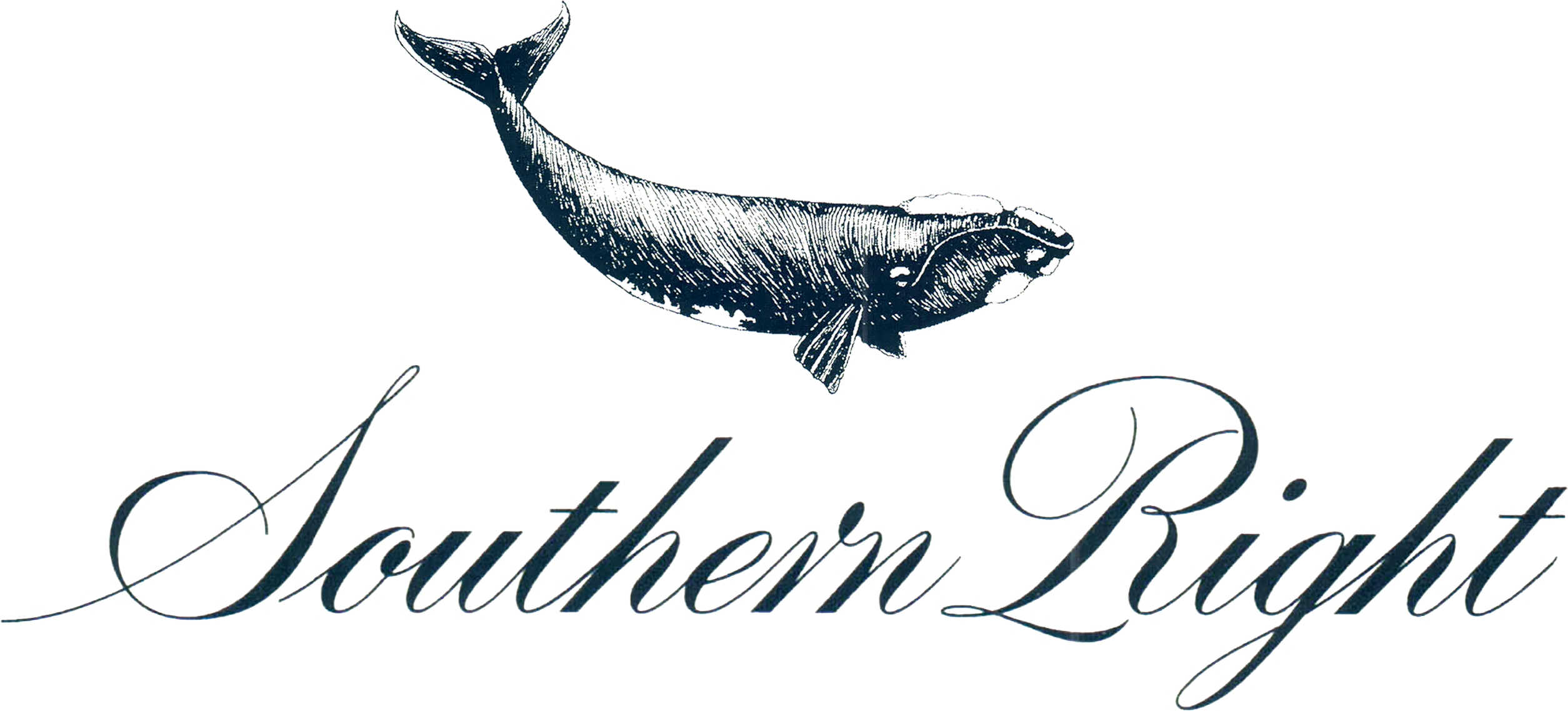 Sauvignon Blanc - Southern Right Sauvignon Blanc 2016 (2509x1137), Png Download