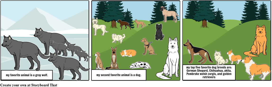 Dogs And Wolf - Canadian Eskimo Dog (1164x385), Png Download