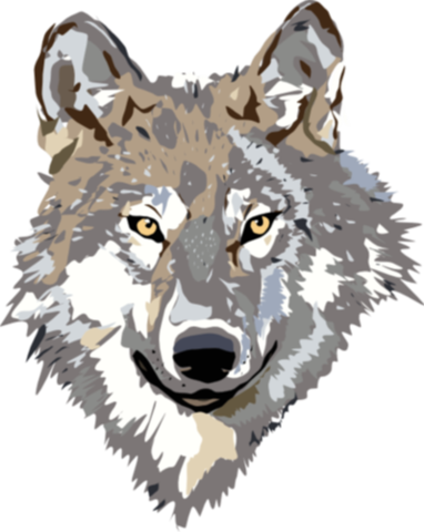 Image Gray Wolf Clip Art 9dc4brkdce Png Animal Jam - Wolf Head Clipart Transparent (382x480), Png Download