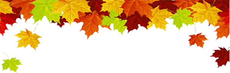 Jump Into Fall With A Stunning Proven Pair Of Discus - Fall Leaves Top Border (750x240), Png Download