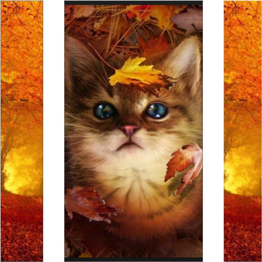 Autumn Clan Banner - Cute Fall Pictures With Animals (1000x1000), Png Download