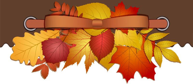 Фото, Автор Иришка-манюшка На Яндекс - Online Shopping (800x349), Png Download