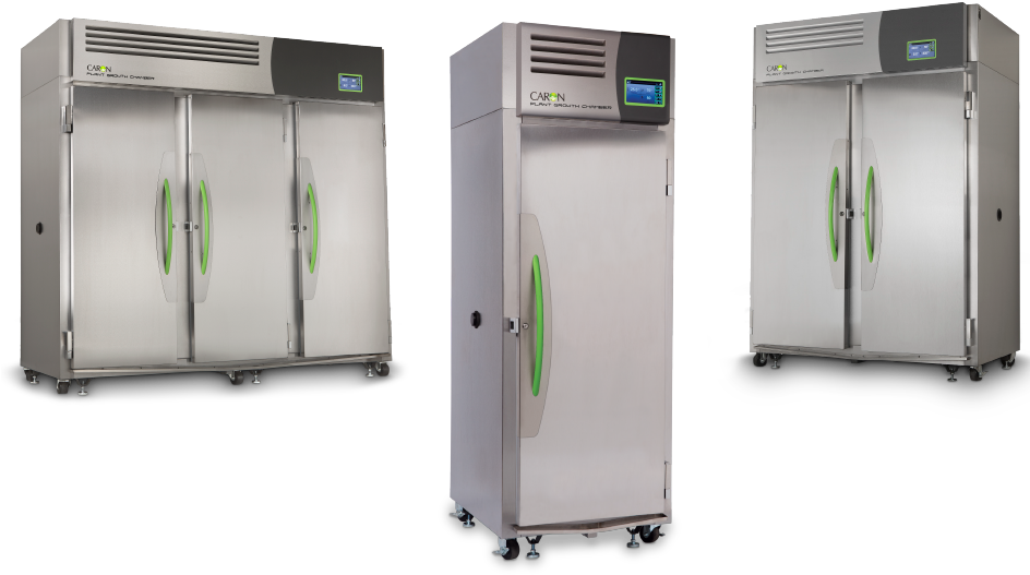 Plant Growth - Plants (1200x600), Png Download