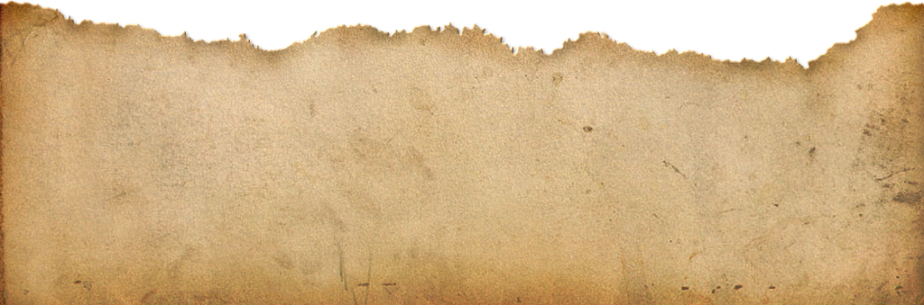Topwide - Sand (1024x339), Png Download