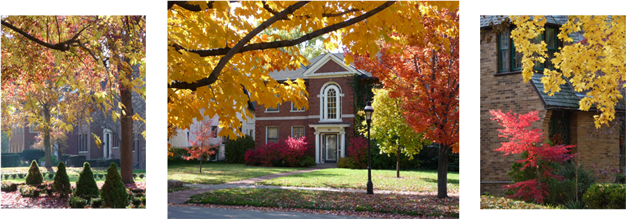 Autumn-banner - Autumn (960x315), Png Download