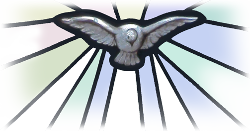 Parroquiasbrunoydomingo - Org - Paloma De La Confirmacion Png (503x263), Png Download