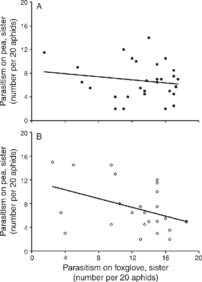 The Relationship Between Sisters In Their Ability To - Height Of Clear Liquid Interface Z Vs Settling Time (647x901), Png Download