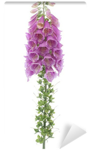 Stock Photography (400x400), Png Download