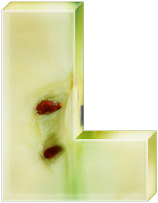 Apple Slices - Design (314x404), Png Download