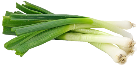 Green Onion Organic Supplier Usa - Spring Onions (450x350), Png Download