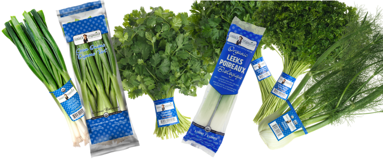 Beets - Parsley (767x337), Png Download