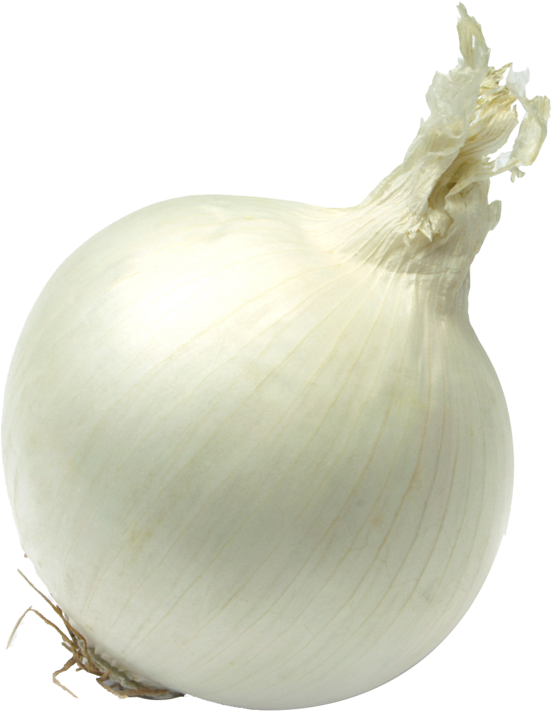Single Onion Png Free Download - White Onion Transparent (1000x1171), Png Download