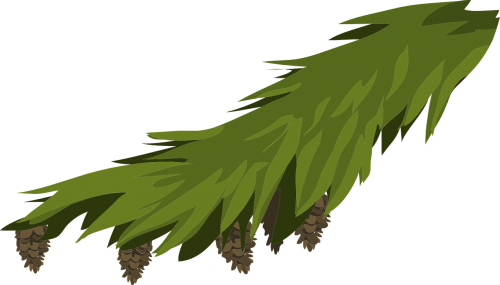 Ramas De Pino Vector (500x285), Png Download