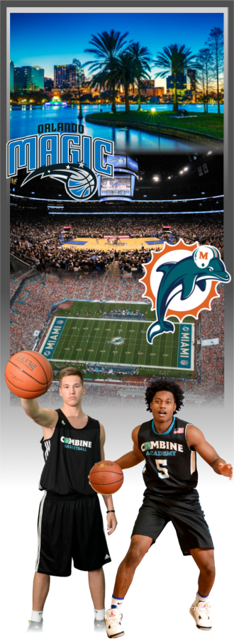 If Rules Or Standards Are Broken, It Is The Decision - Miami Dolphins (330x900), Png Download