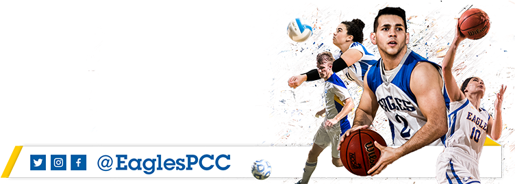 Social Media (768x495), Png Download