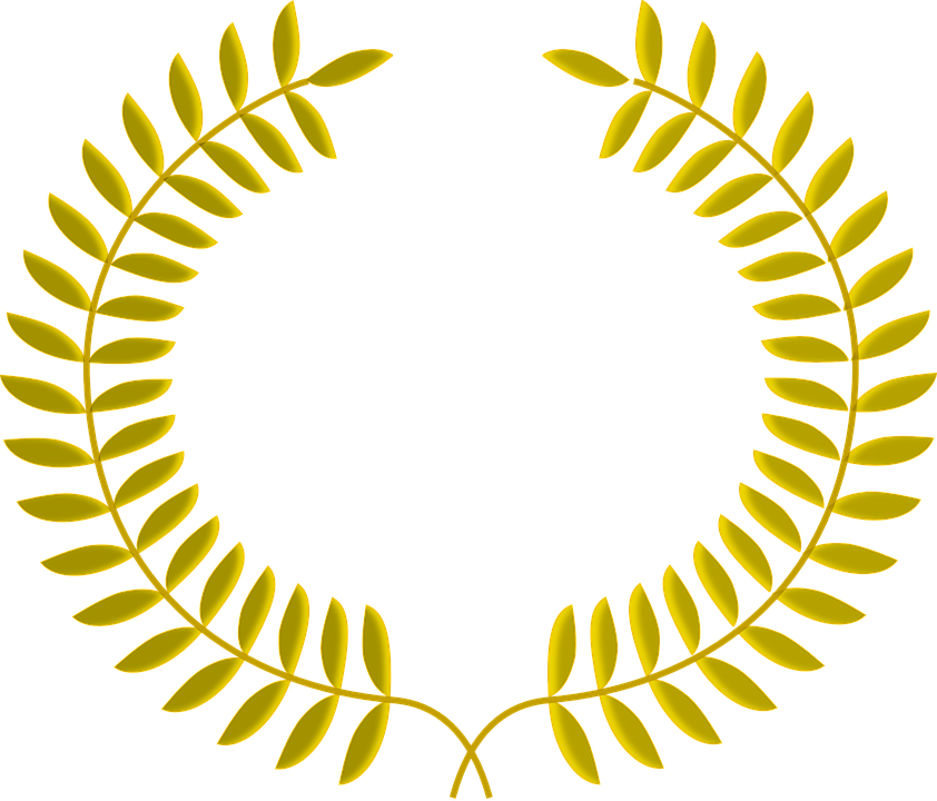 Guirnalda Vector Png Brasao Com Coroa Dourado Png Full Size Png Download Seekpng