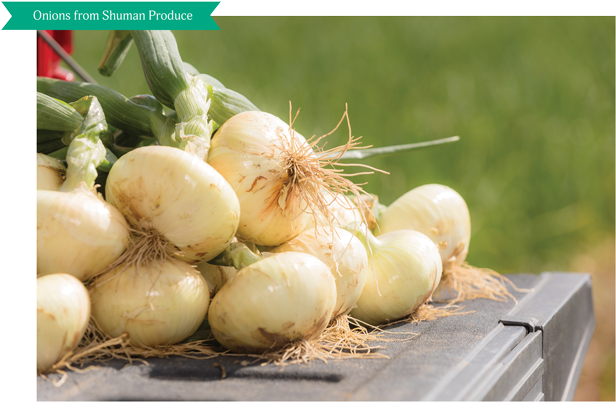 Vidalia Sweet Onions Are Commonly Purchased With Fresh - Root Vegetable (650x433), Png Download