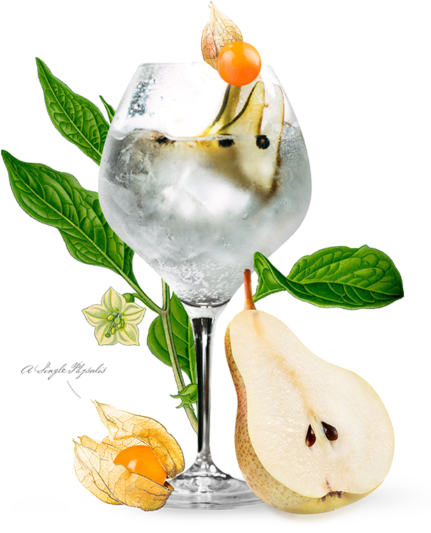Apple And Pears Gin & Tonic - Gin Tonic Apple And Pear (660x934), Png Download