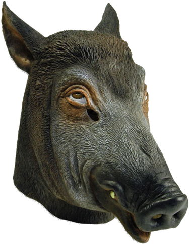 Wild Boar Latex (386x500), Png Download